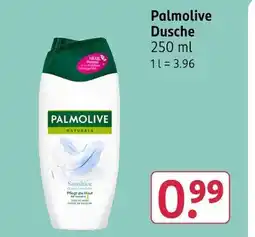 Rossmann Palmolive dusche Angebot