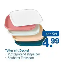 Rossmann Teller mit deckel Angebot
