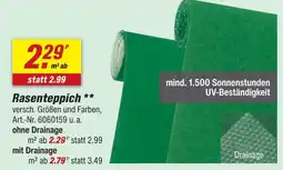 toom Baumarkt Rasenteppich ohne drainage Angebot