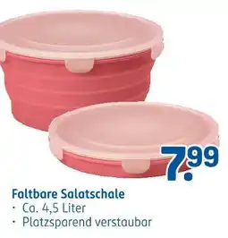 Rossmann Faltbare salatschale Angebot