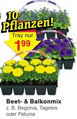 Jawoll Beet- & Balkonmix Angebot