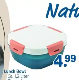 Rossmann Lunch bowl Angebot