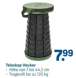 Rossmann Teleskop-hocker Angebot