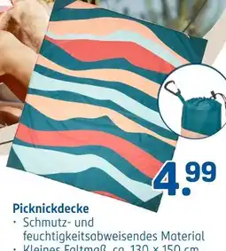 Rossmann Picknickdecke Angebot