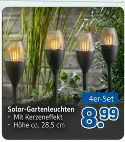 Rossmann Ideenwelt solar-gartenleuchten Angebot