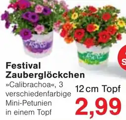Jawoll Festival Zauberglöckchen Angebot