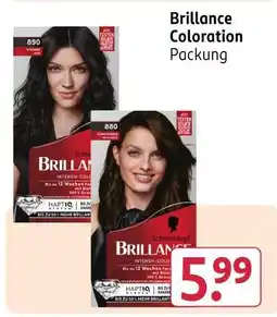 Rossmann Schwarzkopf brillance coloration Angebot