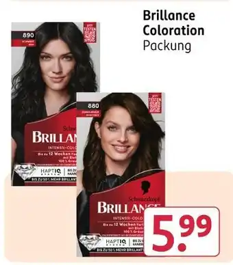 Rossmann Schwarzkopf brillance coloration Angebot