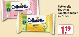Rossmann Cottonelle feuchtes toilettenpapier Angebot