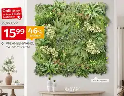 XXXLutz Floordirekt pflanzenwand Angebot
