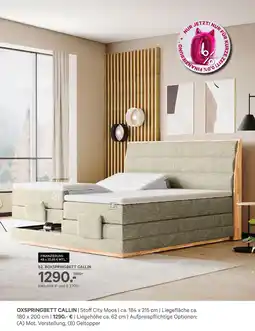 Kabs Polsterwelt Oxspringbett callin Angebot