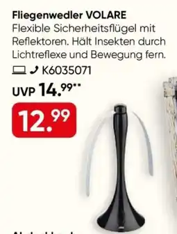 Galeria Fliegenwedler VOLARE Angebot