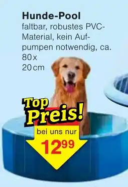 Jawoll Hunde-Pool Angebot