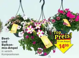 Jawoll Beet- und Balkon- mix-Ampel Angebot