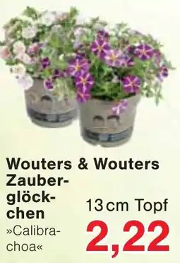 Jawoll Wouters & Wouters Zauberglöckchen Angebot