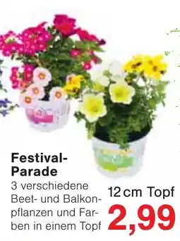 Jawoll Festival- Parade Angebot