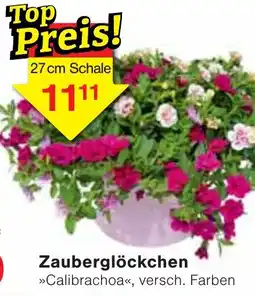 Jawoll Zauberglöckchen Angebot
