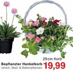 Jawoll Bepflanzter Henkelkorb Angebot