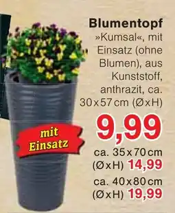 Jawoll Blumentopf Angebot