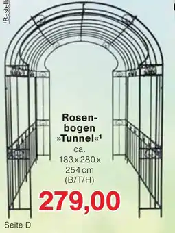 Jawoll Rosenbogen Tunnel Angebot