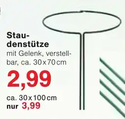 Jawoll Staudenstütze Angebot