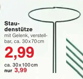 Jawoll Staudenstütze Angebot