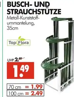 Wreesmann Top flora busch- und strauchstütze Angebot