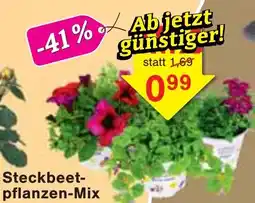 Jawoll Steckbeetpflanzen-Mix Angebot