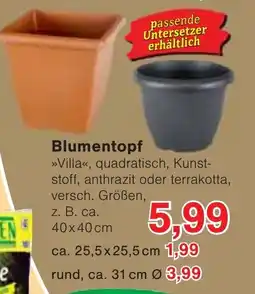 Jawoll Blumentopf Angebot