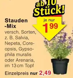 Jawoll Stauden -Mix Angebot