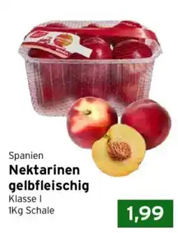 CAP Markt Spanien Nektarinen Angebot