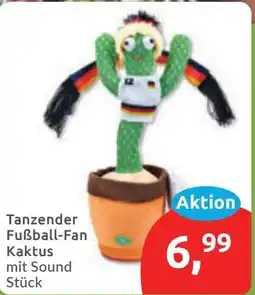 Budni Tanzender Fußball-Fan Kaktus Angebot