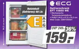 HEM Expert ECG Gefrierschrank EFT 10855 WE Angebot