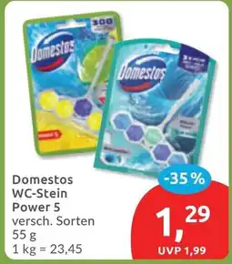 Budni Domestos WC-Stein Power 5 Angebot
