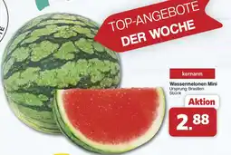 Famila Nord West Wassermelonen Mini Angebot