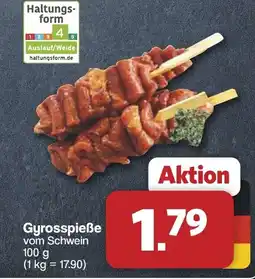 Famila Nord West Gyrosspieße Angebot