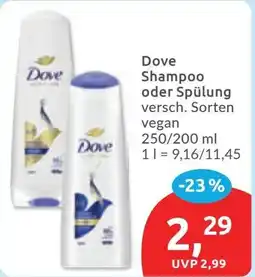 Budni Dove Shampoo oder Spülung Angebot