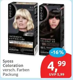 Budni Syoss Coloration Angebot