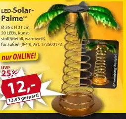 Sonderpreis Baumarkt LED-Solar- Palme Angebot