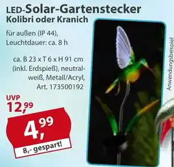 Sonderpreis Baumarkt LED-Solar-Gartenstecker Kolibri oder Kranich Angebot