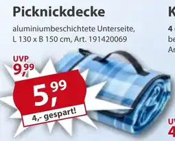 Sonderpreis Baumarkt Picknickdecke Angebot