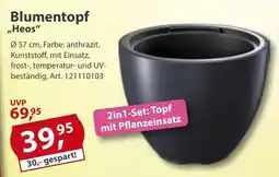 Sonderpreis Baumarkt Blumentopf ,,Heos" Angebot