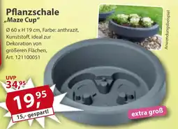 Sonderpreis Baumarkt Pflanzschale ,,Maze Cup" Angebot