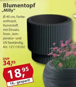 Sonderpreis Baumarkt Blumentopf ,,Milly" Angebot