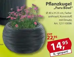 Sonderpreis Baumarkt Pflanzkugel ,,Furu Bowl" Angebot