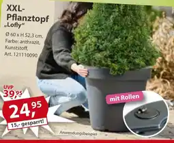 Sonderpreis Baumarkt XXL- Pflanztopf ,,Lofly" Angebot