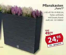 Sonderpreis Baumarkt Pflanzkasten ,,Furu T" Angebot