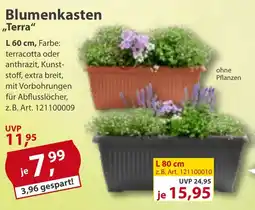 Sonderpreis Baumarkt Blumenkasten ,,Terra" Angebot