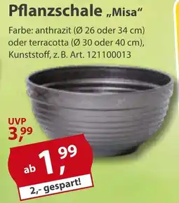 Sonderpreis Baumarkt Pflanzschale ,,Misa" Angebot
