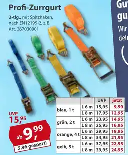 Sonderpreis Baumarkt Profi-Zurrgurt Angebot